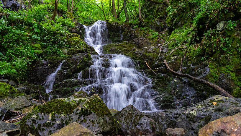 Boyana Wasserfall in Vitosha, in der Nähe von Sofia in Bulgarien von Jessica Lokker