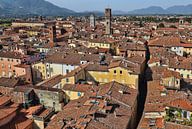 Lucca in Italië van Jan Kranendonk thumbnail