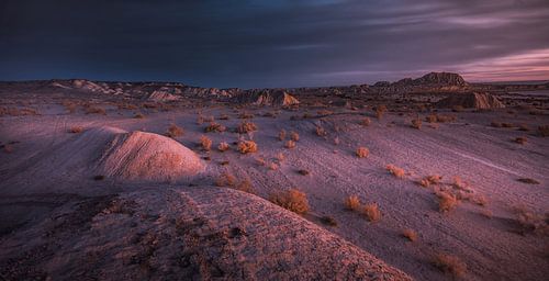 La lumière du désert