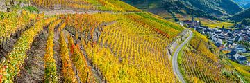 Vineyards in autumn, Ahr valley by Walter G. Allgöwer