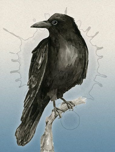 Raven drawing in washed ink