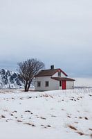 Lonely house in Andøya, Norway