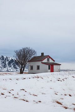Maison isolée à Andøya, Norvège sur Jules Captures - Photography by Julia Vermeulen