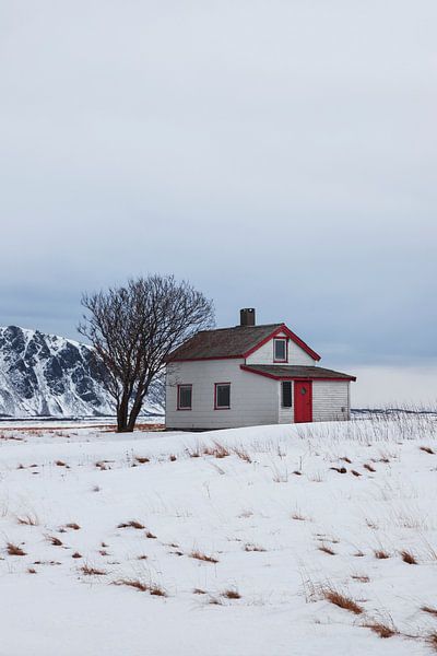 Lonely house in Andøya, Norway by Jules Captures - Photography by Julia Vermeulen