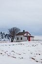 Lonely house in Andøya, Norway by Jules Captures - Photography by Julia Vermeulen thumbnail