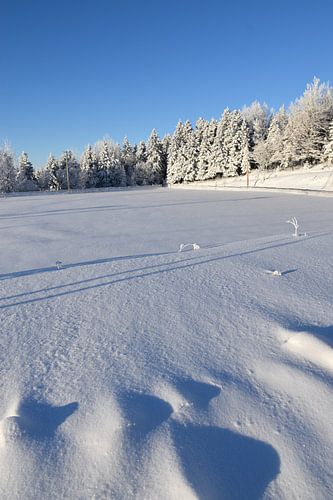 Het recreatiegebied in de winter