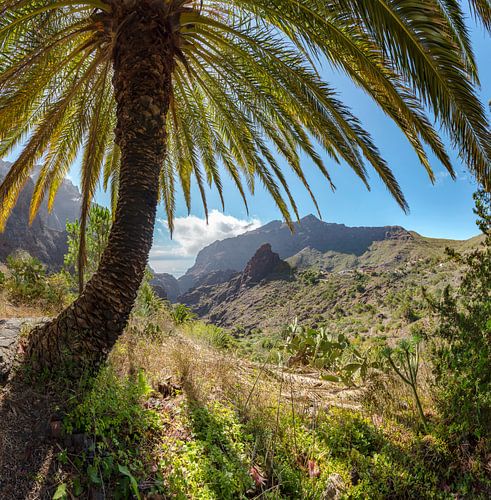 Mirador de Masca, Masca, Tenrife Canary Islands, Spanje