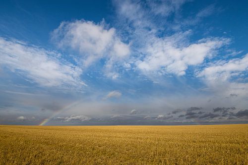 Arc-en-ciel sur la prairie de l'Alberta - photographie de paysages sereins, Canada