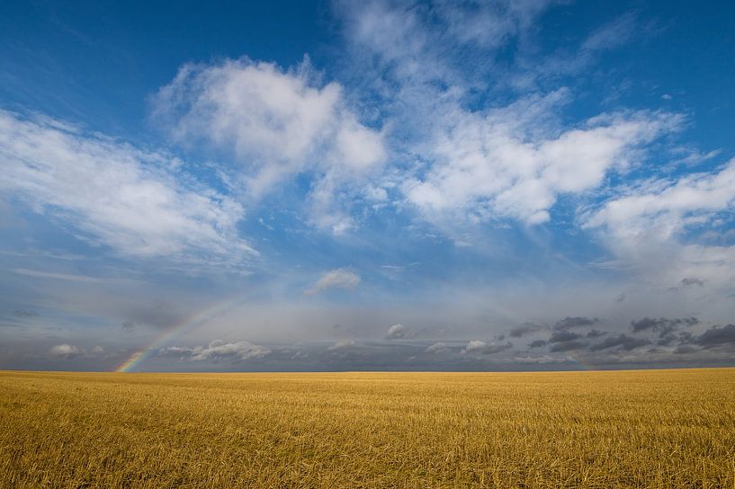 Regenboog boven Canadese prairie van Christiaan Poot