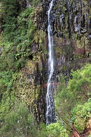 fontes risco madeira by ChrisWillemsen