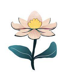 Whimsical waterlily by Tanja Udelhofen