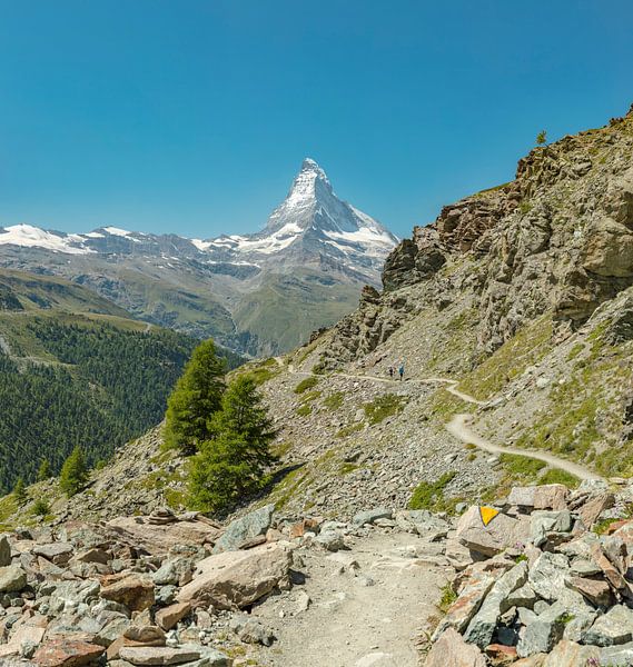 5-Promenade avec vue sur le Cervin, Zermatt, Valais, Suisse par Rene van der Meer