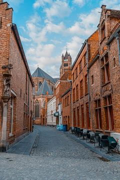 Sint-Salvators kathedraal in Brugge van Captured By Manon