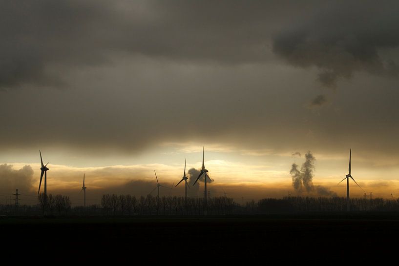 Windmills in the Mist by Sabina Meerman