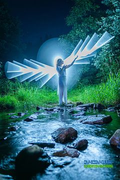 Feen im Wald in Weiß