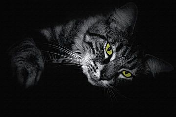 Luie kat met gele ogen zwart wit portret van Maud De Vries