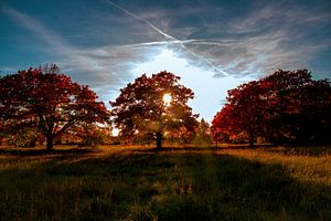 Herbststimmung von Pixel4ormer