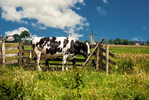 Nederlandse Landschappen