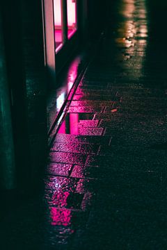 Neon na de regen van Roel Timmermans