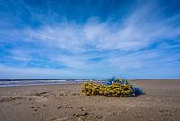 Strand van Texel