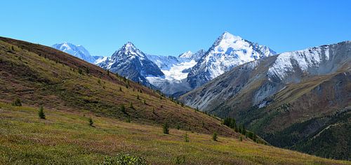 Montagnes de l'Altai, Russie - V