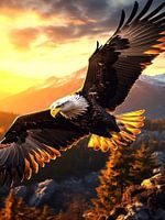 Eagle