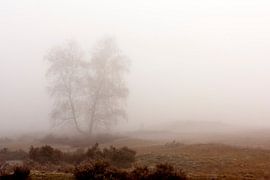 Mist