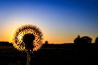 Waiting for the wind