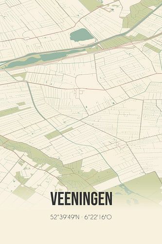 Vintage landkaart van Veeningen (Drenthe)