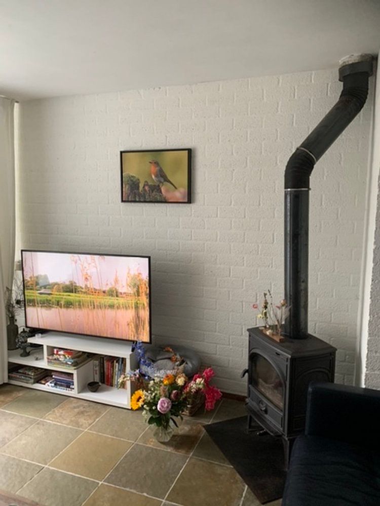 Robin par Gert Hilbink