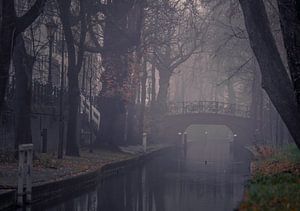 Neuer Wassergraben im Nebel