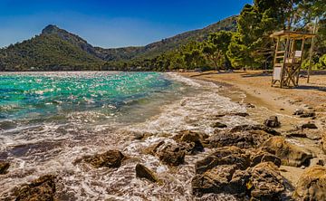 Schöner Strand an der Bucht Cap Formentor, Platja de Formentor, Mallorca Spanien Mittelmeer von Alex Winter