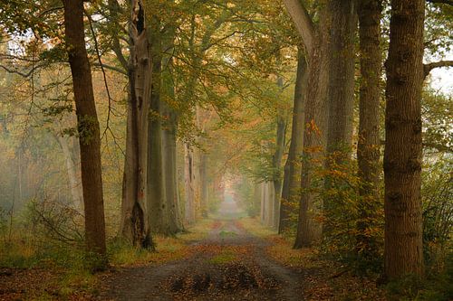 Herfst in Bergen op Zoom