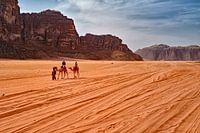 Kamele in der Wüste Wadi Rum