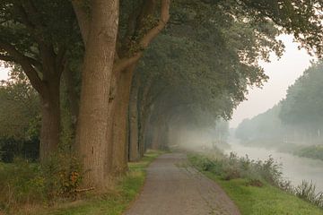 Bäume, Nebel und Wasser in Drenthe von KB Design & Photography (Karen Brouwer)