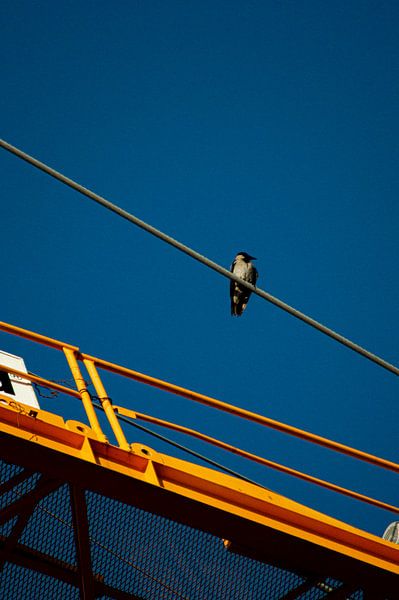 Bird on the crane by Annemarie Bruil