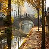Der Spaziergänger auf der Magdalena-Brücke über die Nieuwegracht in Utrecht (Farbe) von André Blom Fotografie Utrecht