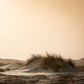 Zandduinen op het strand van Terschelling van Marjan Schmit Visser