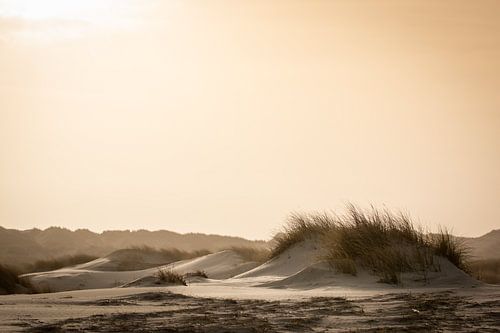 Zandduinen op het strand van Terschelling