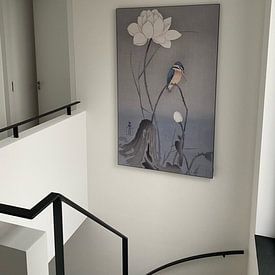 Kundenfoto: Eisvogel sitzend auf gebogenem Stiel in der Nähe der weißen Lotusblume von Ohara Koson, als artframe