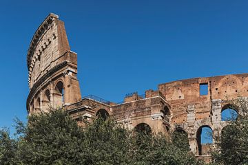 Colosseum Rome, Italy