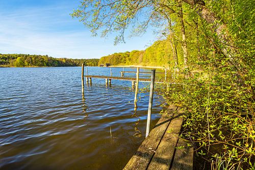 Les arbres et la passerelle au bord du lac Nebelsee au printemps, à Lärz sur Rico Ködder