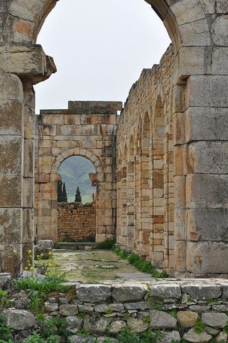 Oude ruïnes in Meknes, Marokko