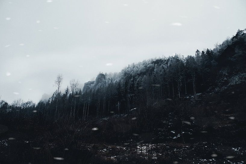 Zschirnstein avec des arbres couverts de neige et du brouillard au sommet par Martin Köbsch