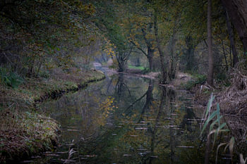 Automne