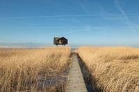 the kiekkaaste, new statenzijl