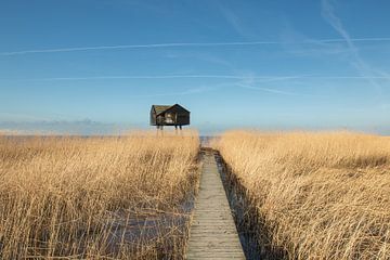 de kiekkaaste, nieuwe statenzijl van M. B. fotografie