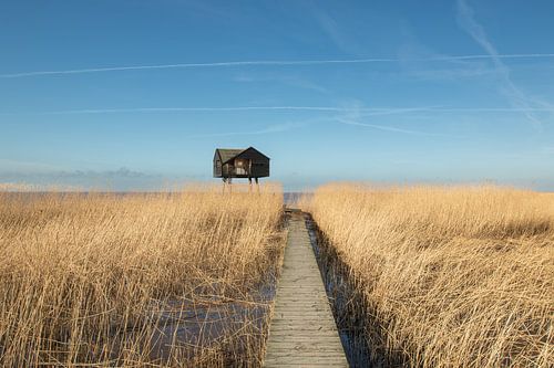 de kiekkaaste, nieuwe statenzijl