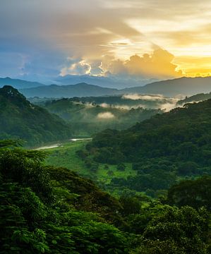 Green / Blue / Yellow by Steven Driesen