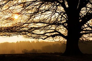Posbank silhouette